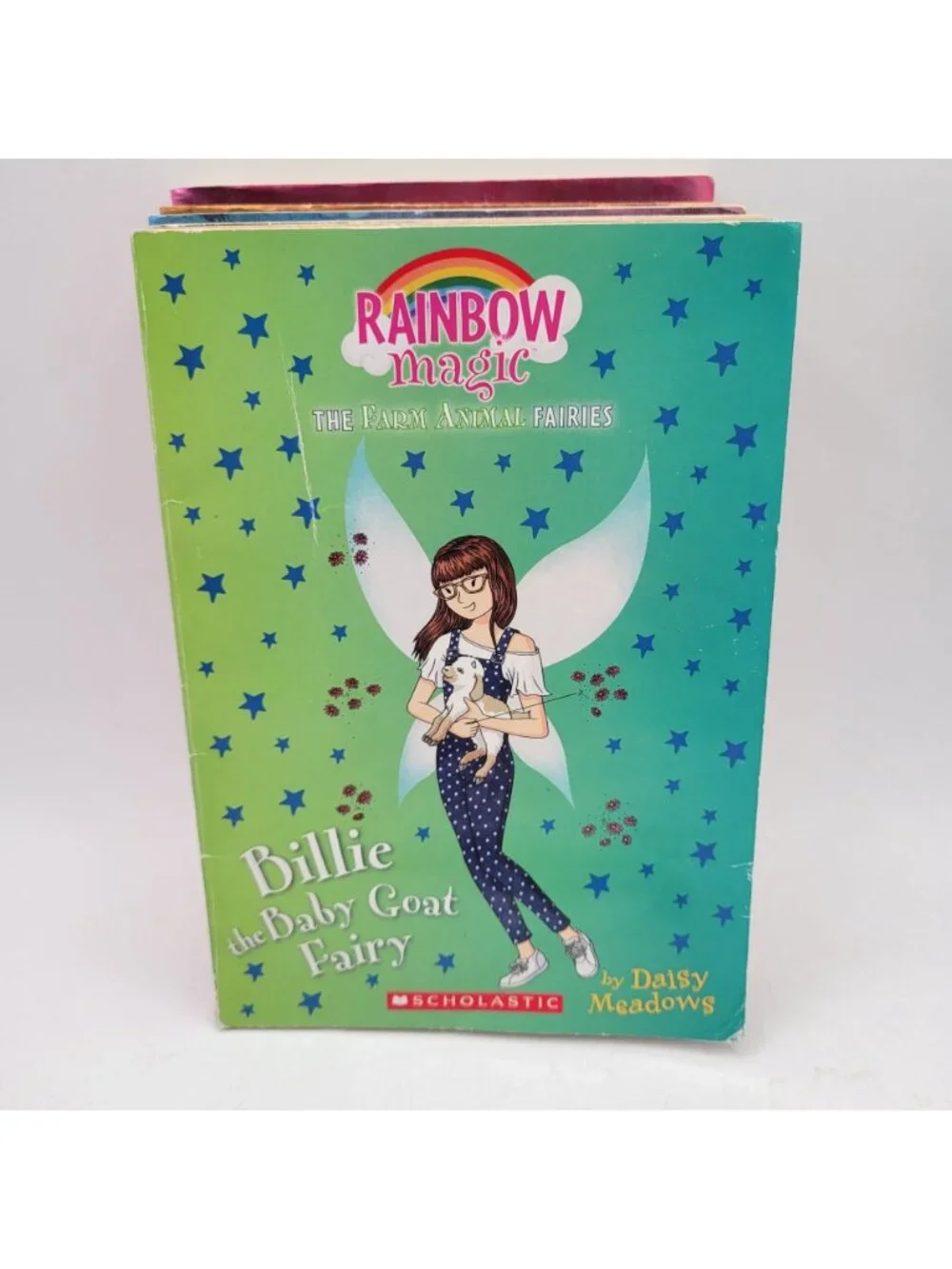 RAINBOW MAGIC Lot of 14 Chapter Books by Daisy Meadows - CB045